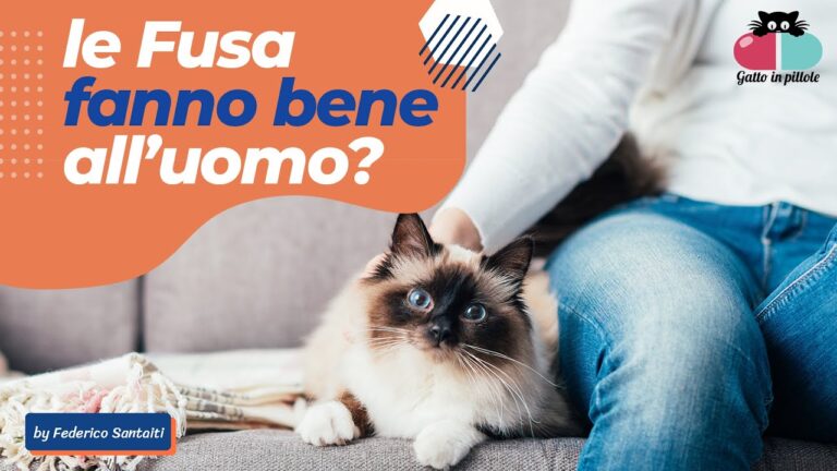 I 5 Affascinanti Tipi di Fusa del Gatto: Scopri Il Linguaggio Segreto dei Felini!