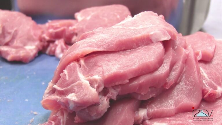 Congelare il fegato di vitello crudo: il segreto per conservare gusto e freschezza?