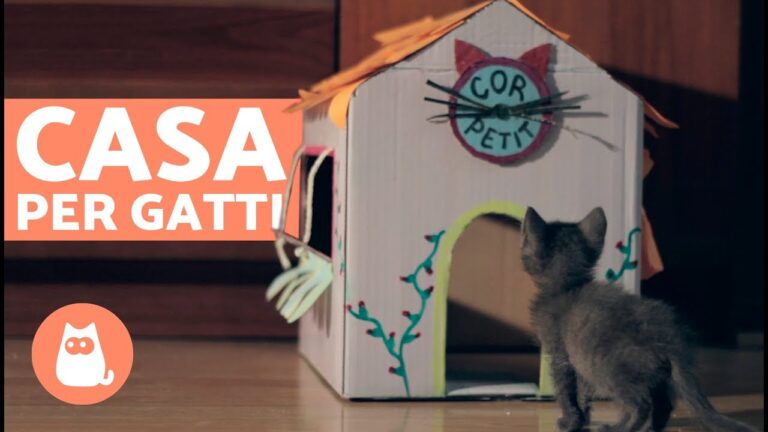 Casette di cartone per gatti fai da te: un regalo creativo per il tuo micio!
