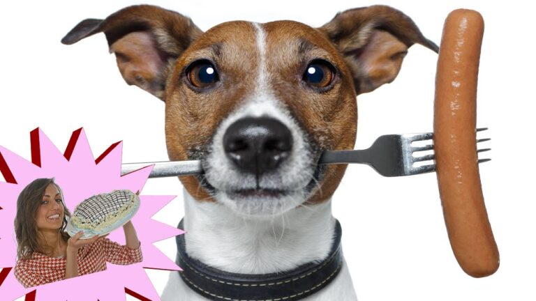 Dieta casalinga per cani da 30 kg: come nutrirli in modo sano e gustoso